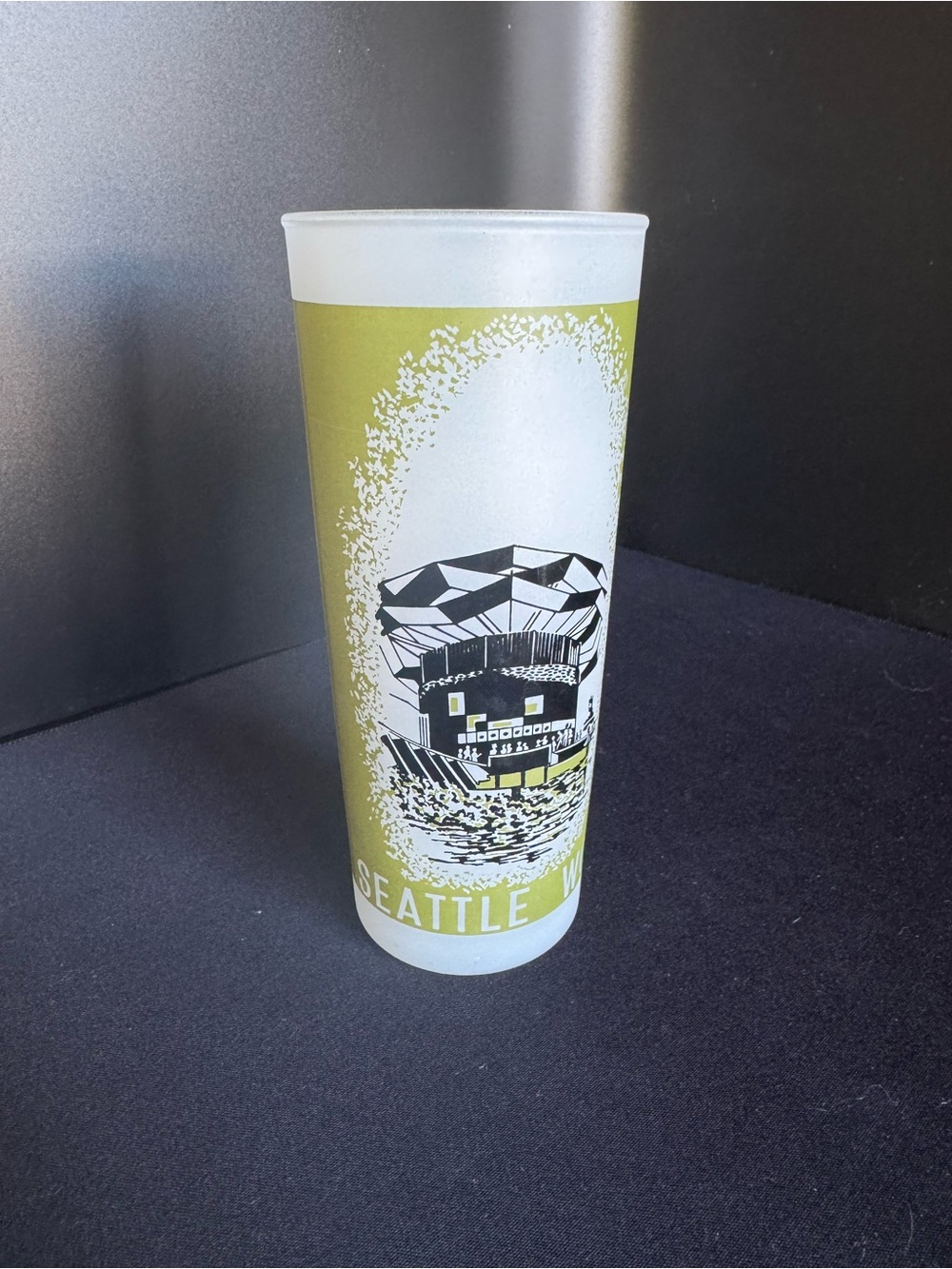 Vintage Seattle World Fair 1962 Frosted Glass
